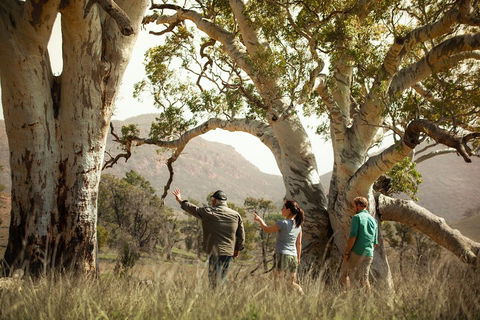 Yura Udnyu - Our Culture, Your Culture (Aboriginal Cultural Walk) - Attractions 5