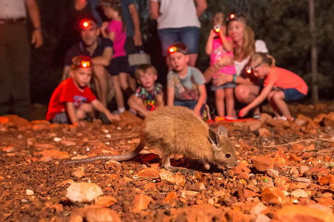 Alice Springs Desert Park Nocturnal Tour - Attractions 1