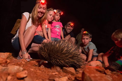 Alice Springs Desert Park Nocturnal Tour - Attractions 5