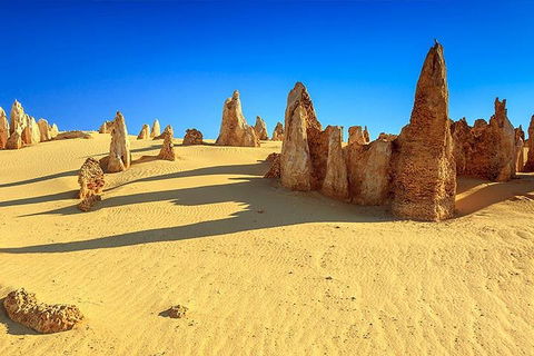 Full-Day Pinnacles Desert And Yanchep National Park Tour From Perth - Attractions 2