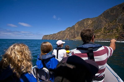 Seal Island Boat Tour from Victor Harbor