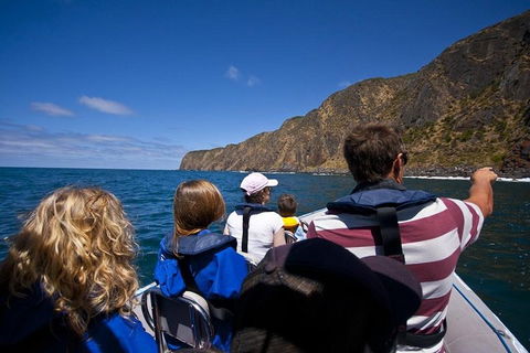 Seal Island Boat Tour From Victor Harbor - Attractions 0