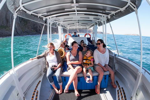 Seal Island Boat Tour From Victor Harbor - Attractions 1