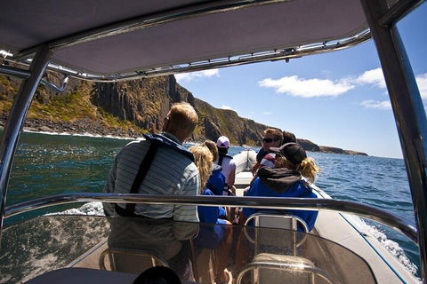 Seal Island Boat Tour From Victor Harbor - Attractions 2
