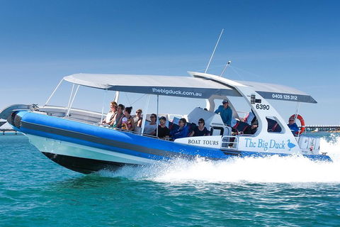 Seal Island Boat Tour From Victor Harbor - Attractions 3