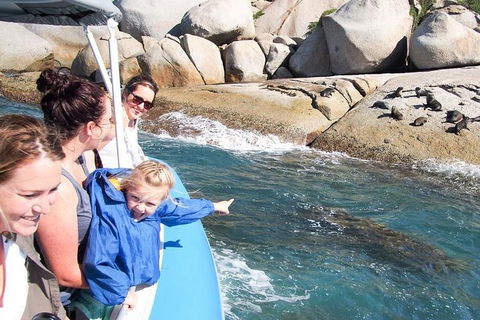 Seal Island Boat Tour From Victor Harbor - Attractions 4