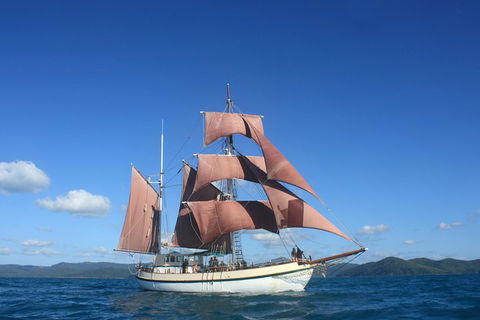 Sydney Harbour Tall Ship Whale & Sail - Whale Watching Cruise - Attractions 1