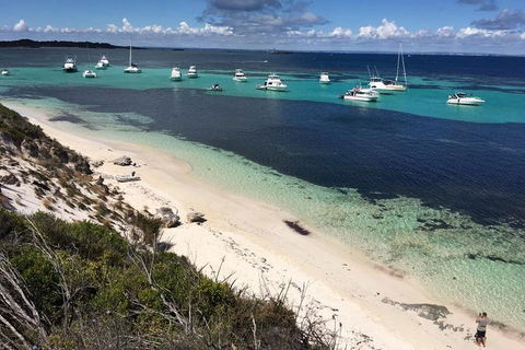 Experience Rottnest With Ferry & Bike Hire From Perth Or Fremantle - Attractions 0