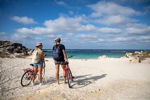 Experience Rottnest With Ferry & Bike Hire From Perth Or Fremantle - Attractions 5