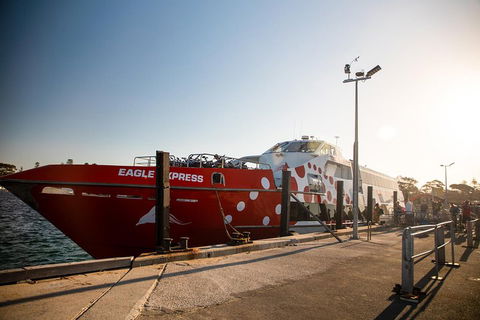 Rottnest Island Round-Trip Ferry From Perth Or Fremantle - Attractions 2