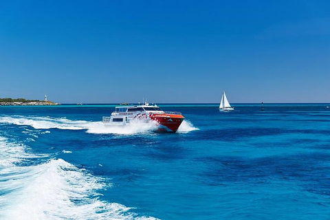 Rottnest Island Round-Trip Ferry From Perth Or Fremantle - Attractions 4