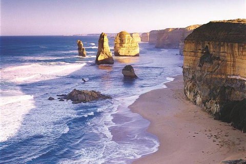 Melbourne Combo: Great Ocean Road, Puffing Billy, Moonlit Sanctuary & Penguins - Attractions 0