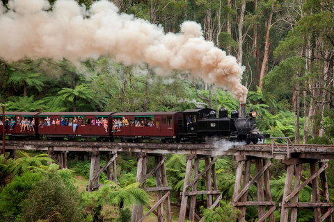 Melbourne Combo: Great Ocean Road, Puffing Billy, Moonlit Sanctuary & Penguins - Attractions 1