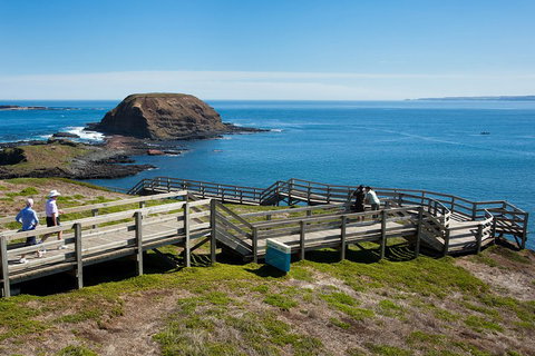 Melbourne Combo: Great Ocean Road, Puffing Billy, Moonlit Sanctuary & Penguins - Attractions 5