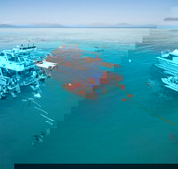 Ocean Freedom Great Barrier Reef Personal Luxury Snorkel  Dive Cruise Cairns - Attractions