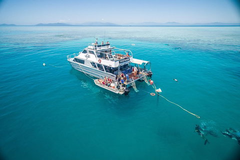 Ocean Freedom Great Barrier Reef Personal Luxury Snorkel & Dive Cruise, Cairns - Attractions 0