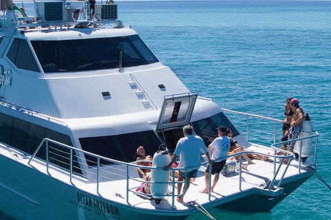 Ocean Freedom Great Barrier Reef Personal Luxury Snorkel & Dive Cruise, Cairns - Attractions 1