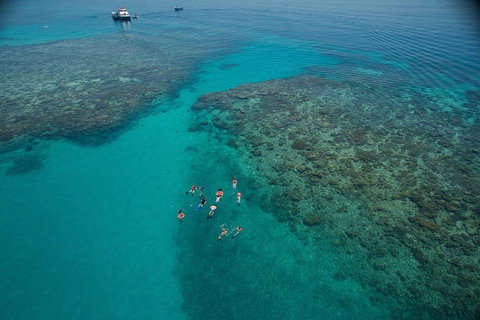 Ocean Freedom Great Barrier Reef Personal Luxury Snorkel & Dive Cruise, Cairns - Attractions 3