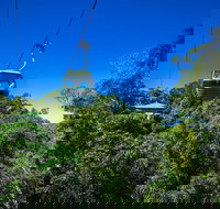 Classic Kuranda by Skyrail and Scenic Railway Including Rainforestation Koala and Wildlife Park and Pamagirri Aboriginal Experi - Attractions