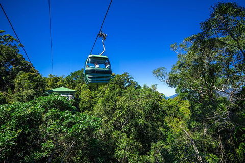 Classic Kuranda By Skyrail And Scenic Railway Including Rainforestation, Koala And Wildlife Park And Pamagirri Aboriginal Experi - Attractions 0