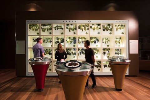 Australian Wine Discovery Tour With Tastings - Attractions 4