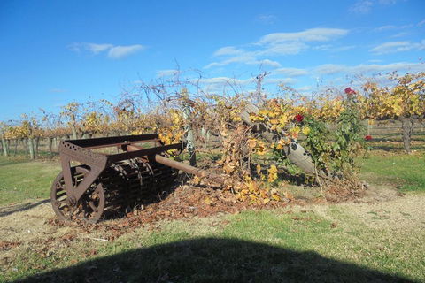 Swan Valley Tour From Perth: Wine, Beer And Chocolate Tastings - Attractions 3