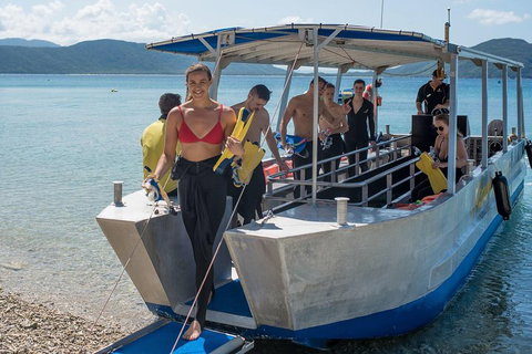 Fitzroy Island Day Trip From Cairns - Attractions 5