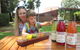 Swan Valley Half-Day Food Tour And Wine Trail From Perth - thumb 0