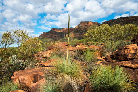 6-Day Eyre Peninsula & Flinders Ranges Adventure Tour - Attractions 1