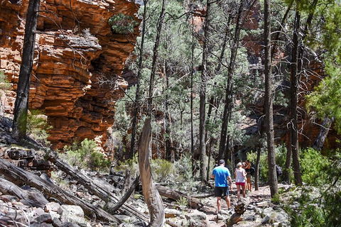 6-Day Eyre Peninsula & Flinders Ranges Adventure Tour - Attractions 5