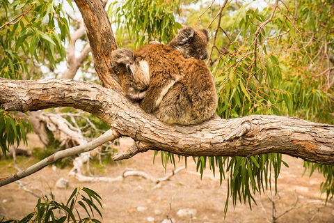 10 Day Perth To Adelaide Private Tour - The Great Australian Wilderness Journey - Attractions 4
