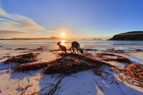 10-Day Perth To Adelaide Adventure Tour - Attractions 1