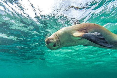 10-Day Adelaide To Perth Adventure Tour - Attractions 1