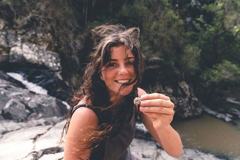 Springbrook AndTamborine Rainforest Tour Incl Natural Bridge And Glow Worm Cave - Attractions 1