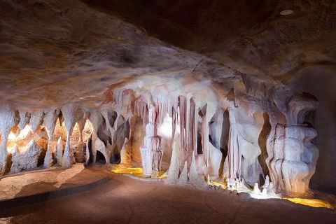 Springbrook AndTamborine Rainforest Tour Incl Natural Bridge And Glow Worm Cave - Attractions 4