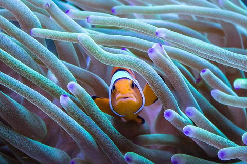 General Admission Entry At AQWA - Attractions 4