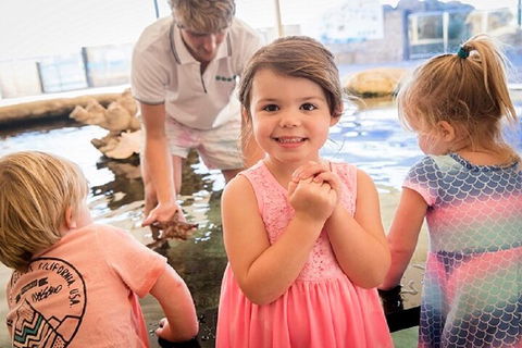 Lunch And General Admission Entry At AQWA - Attractions 4