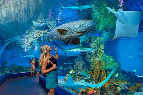 Cairns Aquarium Admission Ticket - Attractions 3