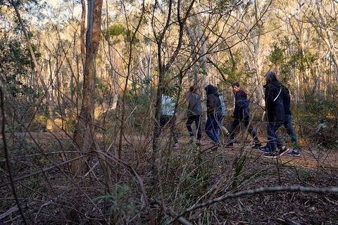 Wild Australian Wildlife 4WD Tour From Sydney - Attractions 0
