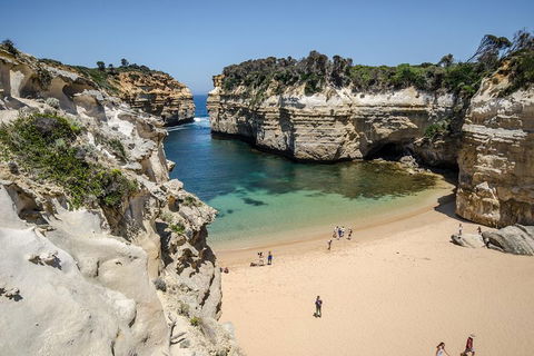 Great Ocean Road Reverse Itinerary With 12 Apostles From Melbourne - Attractions 5