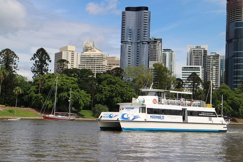 Lone Pine Koala Sanctuary Admission With Brisbane River Cruise - Attractions 2
