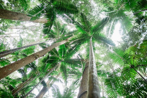 Fraser Explorer K'gari 2-Day Tour - Attractions 2