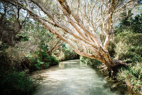 3-Day Fraser Island Resort Package - Attractions 5