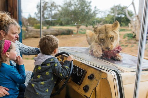 Werribee Open Range Zoo General Admission Ticket - Attractions 4