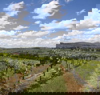 Hunter Valley Wine Tour from Sydney incl Lunch Cheese Chocolate and Distillery - See Attractions