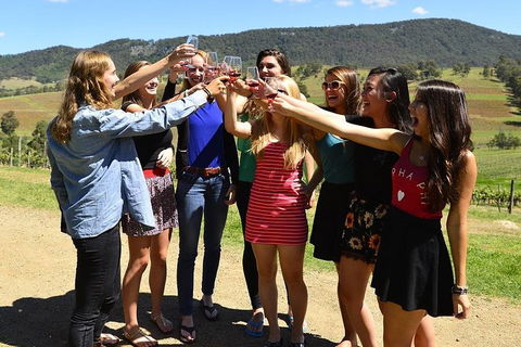 Hunter Valley Wine Tour From Sydney Incl Lunch, Cheese, Chocolate And Distillery - Attractions 3