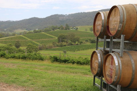Hunter Valley Wine Tour From Sydney Incl Lunch, Cheese, Chocolate And Distillery - Attractions 5