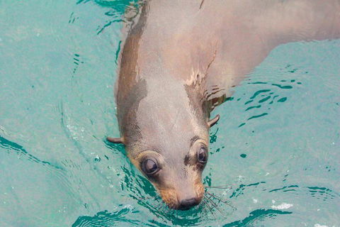 Wilsons Promontory Full Day Cruise - Attractions 0