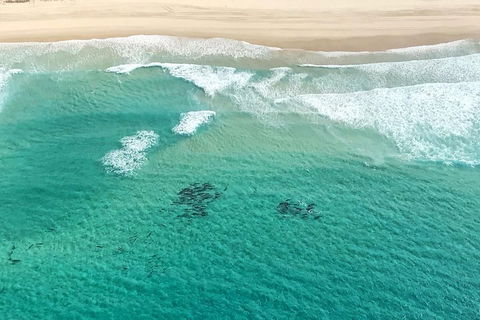 Coastal Helicopter Shared Flight - 20 Minutes - Attractions 4