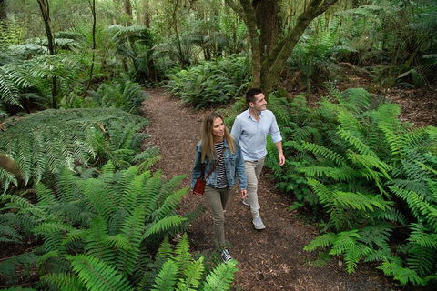 Great Ocean Road Full Coastal Tour - 3 Days, 2 Nights - Attractions 4